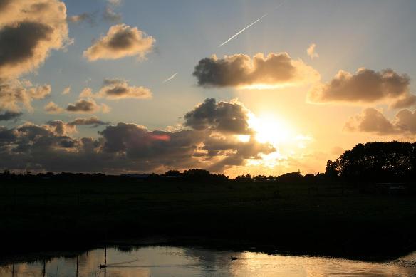 Sunset