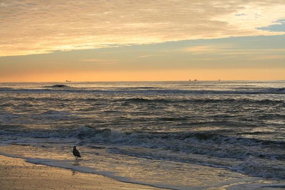 Sunset sea