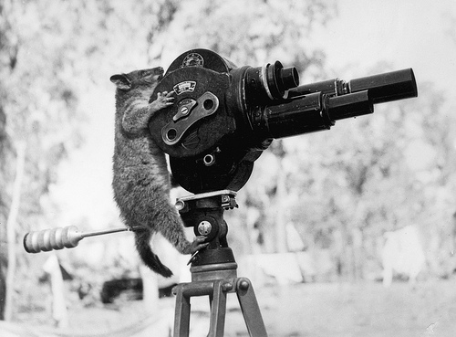 foto-hh-cam foto-hh-cam