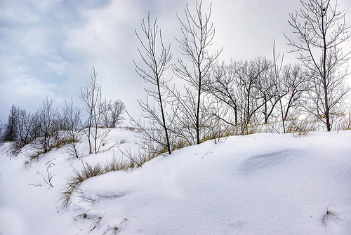 foto-hh-sneeuw foto-hh-sneeuw