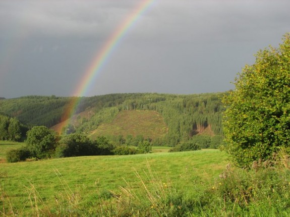 Regenboog Regenboog