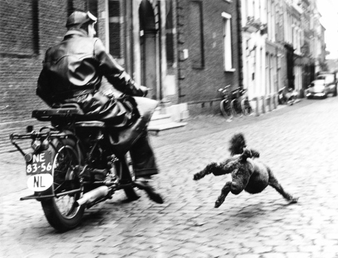 harry-hilders-fotografie-nu