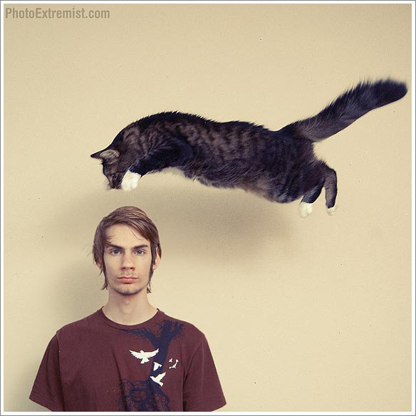 harry-hilders-foto-vliegende-kat